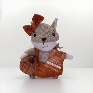 Ashland Fall Squirrel Pumpkin Autumn Thanksgiving Tabletop Decor NWT